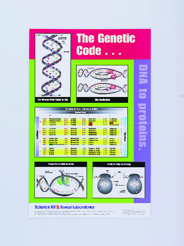 POSTER/PAD GENETIC CODE DNA TO PROTEINS