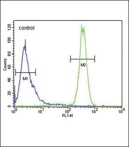 Anti-p19 Rabbit Polyclonal Antibody (HRP (Horseradish Peroxidase))