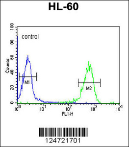 Anti-NAL11 Rabbit Polyclonal Antibody (AP (Alkaline Phosphatase))