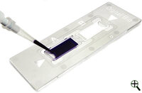 C-Chip Disposable Hemacytometer, Electron Microscopy Sciences
