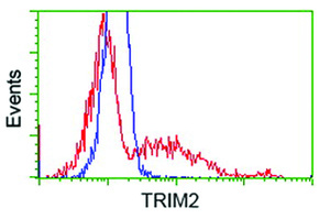 Anti-TRIM2 Mouse Monoclonal Antibody [clone: OTI4D6]