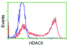 Anti-HDAC6 Mouse Monoclonal Antibody [clone: OTI1D10]