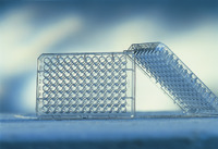 UV-Star® UV-Transparent Microplates, Greiner Bio-One