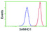 Anti-SAMHD1 Mouse Monoclonal Antibody [clone: OTI3F5]