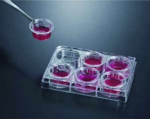 VWR®, Cell Culture Insert Plates, PC