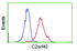 Anti-C2orf40 Mouse Monoclonal Antibody [clone: OTI3B10]