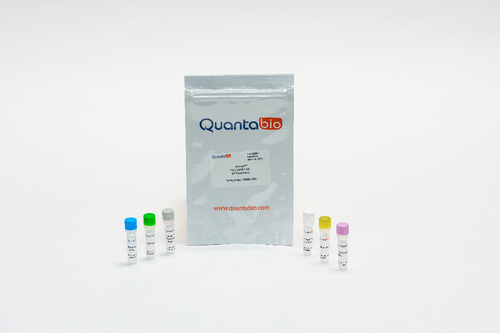 qScript™ Flex cDNA Synthesis Kit, QuantaBio