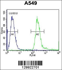 Anti-PABPN1L Rabbit Polyclonal Antibody (PE (Phycoerythrin))