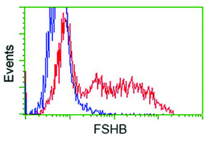 Anti-FSHB Mouse Monoclonal Antibody [clone: OTI3A9]