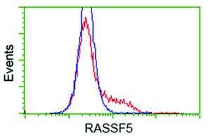 Anti-RASSF5 Mouse Monoclonal Antibody [clone: OTI1H2]