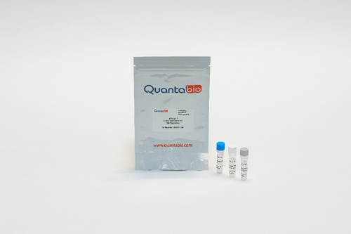qScript™ cDNA Synthesis Kits, QuantaBio