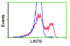 Anti-LIN7B Mouse Monoclonal Antibody [clone: OTI1C9]