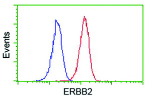 Anti-ERBB2 Mouse Monoclonal Antibody [clone: OTI3F11]