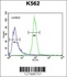 Anti-OR52A1 Rabbit Polyclonal Antibody (FITC (Fluorescein Isothiocyanate))