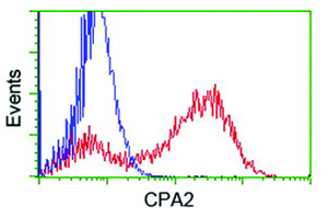 Anti-CPA2 Mouse Monoclonal Antibody [clone: OTI1D8]