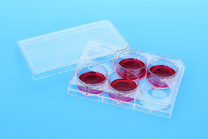 Cell culture insert companion plates, Falcon®