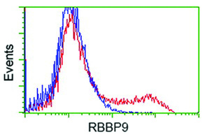 Anti-RBBP9 Mouse Monoclonal Antibody [clone: OTI2G2]