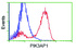 Anti-PIK3AP1 Mouse Monoclonal Antibody [clone: OTI7B12]