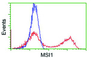 Anti-MSI1 Mouse Monoclonal Antibody [clone: OTI2G9]