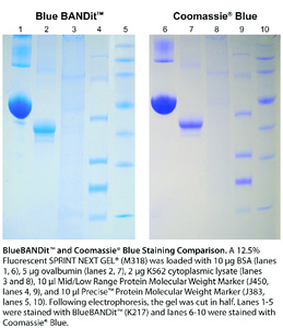 VWR® BANDit™ Protein Stain Blue