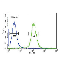 Anti-NPFF Rabbit Polyclonal Antibody (APC (Allophycocyanin))