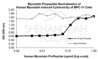 Human Recombinant Myostatin Propeptide (from E. coli)