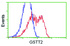 Anti-GSTT2 Mouse Monoclonal Antibody [clone: OTI4F9]