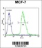 Anti-MFAP4 Rabbit Polyclonal Antibody (PE (Phycoerythrin))