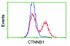 Anti-CTNNB1 Mouse Monoclonal Antibody [clone: OTI6A3]