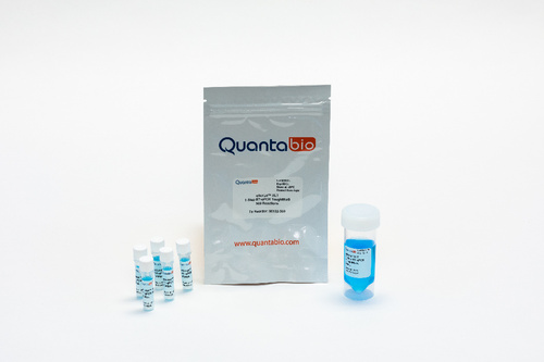 qScript™ XLT One-Step RT-qPCR ToughMix®, QuantaBio