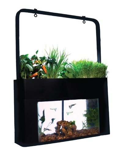 AquaSprouts® Garden Kit