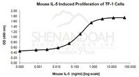 Mouse Recombinant IL-5 (from E. coli)