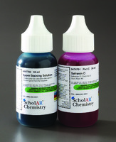 Ward's® Chemistry Endospore Stain Kit