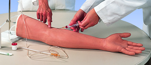 Models to practice venipuncture, catheter and other things