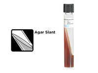 Prepared  media (BHI agar with blood slant)
