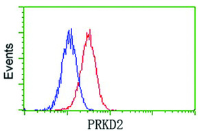 Anti-PRKD2 Mouse Monoclonal Antibody [clone: OTI3B12]