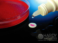 StrepPRO™ Grouping Reagent A, for rapid latex agglutination test