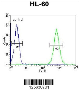 Anti-MILK2 Rabbit Polyclonal Antibody (FITC (Fluorescein Isothiocyanate))