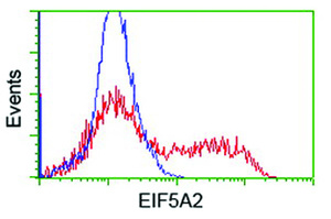 Anti-EIF5A2 Mouse Monoclonal Antibody [clone: OTI6G7]
