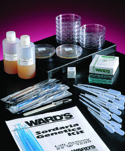 Ward's® Sordaria Genetics Kit