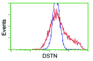 Anti-DSTN Mouse Monoclonal Antibody [clone: OTI2E10]